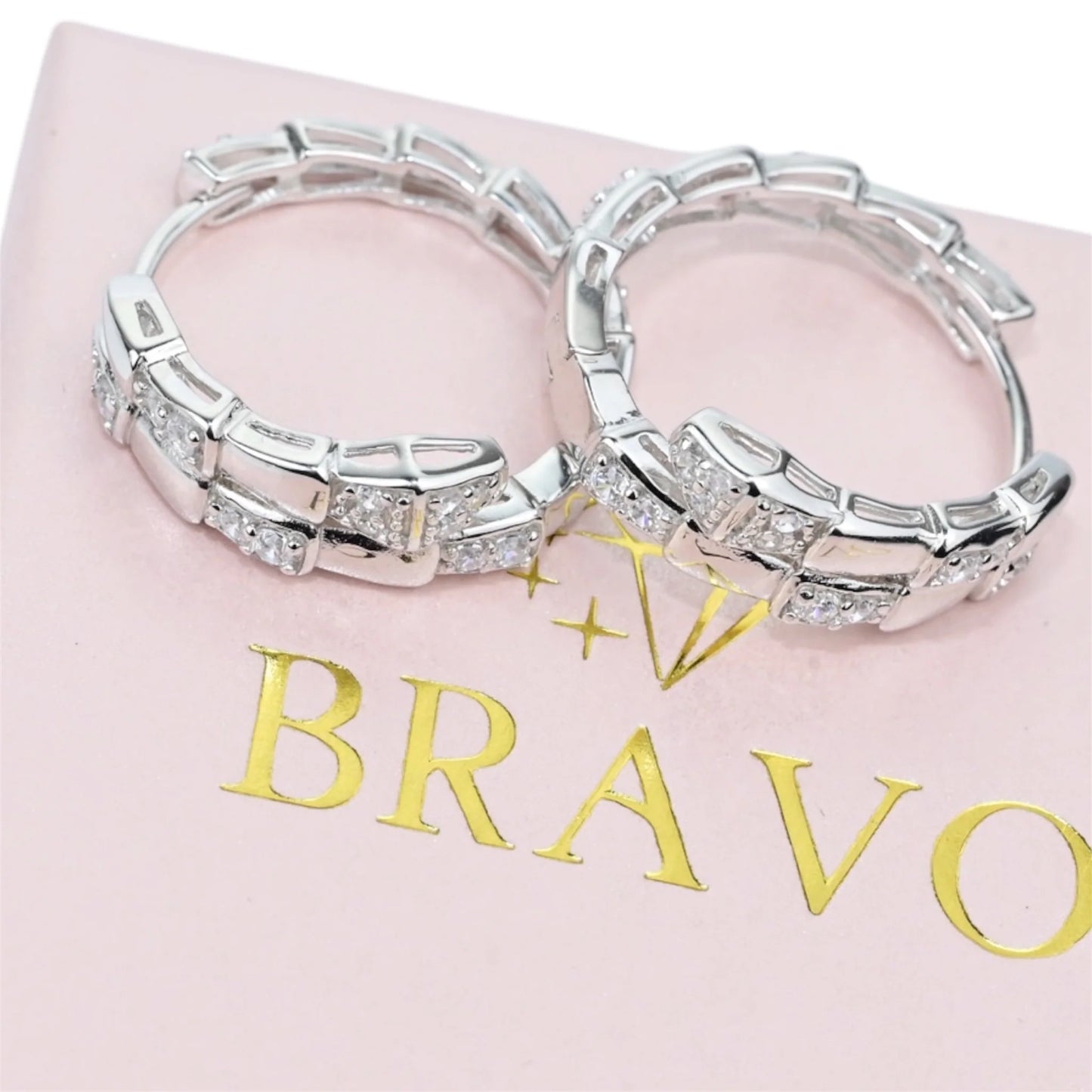 Silver hoops Earrings Snakes