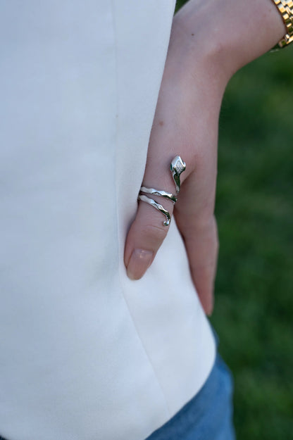 Silver Ring Snake