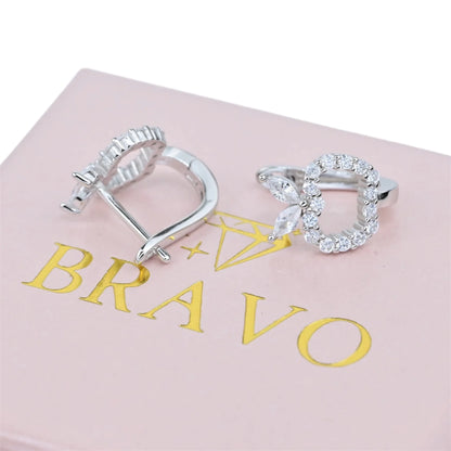 Silver Earrings Apple