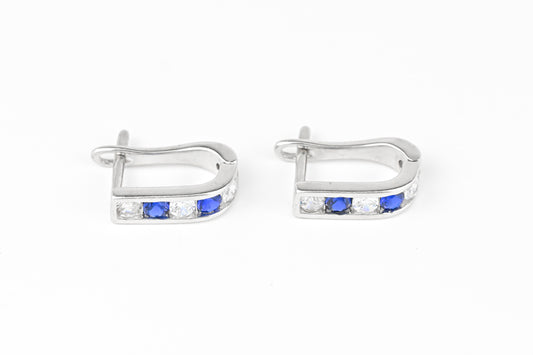 Blue Kids Earrings