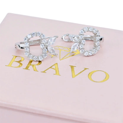 Silver Earrings Apple